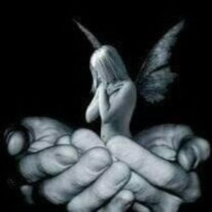 Meet your Posher, Dorothy